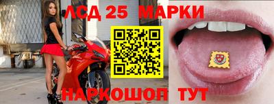 а пвп мука Ачхой-Мартан