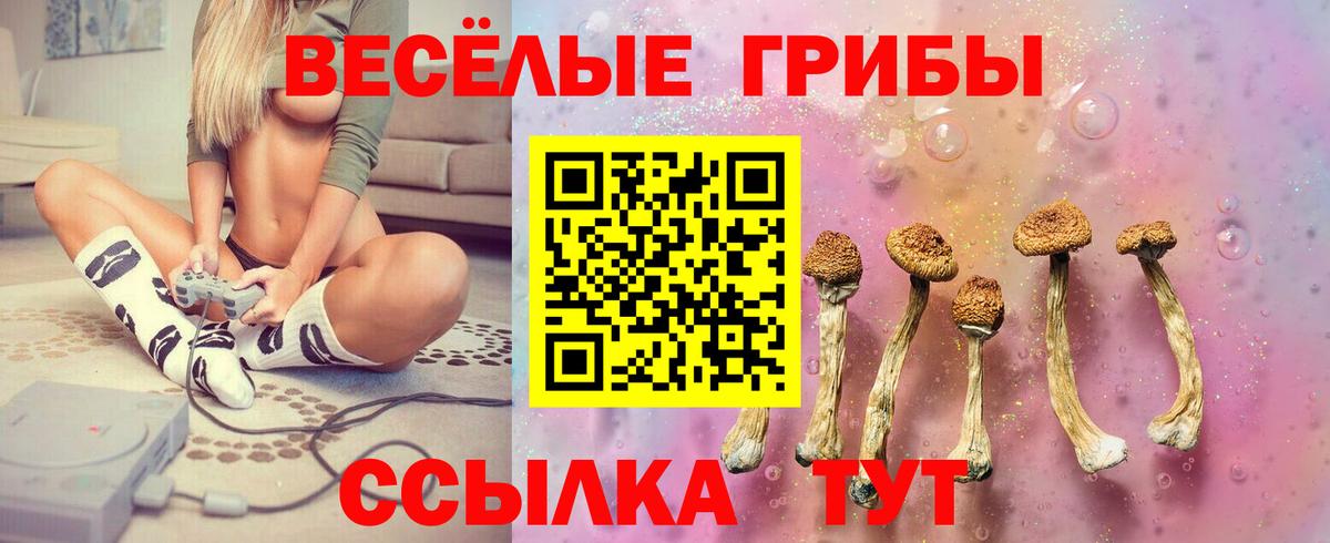 где найти наркотики  Вход с VPN  Мичуринск  Галлюциногенные грибы GOLDEN TEACHER  Галлюциногенные грибы мицелий 