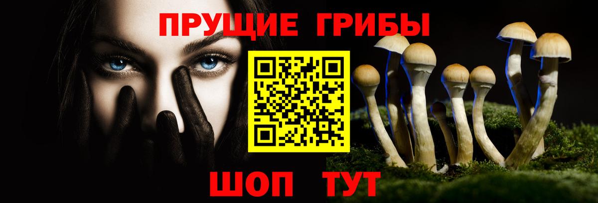 Псилоцибиновые грибы мицелий Мичуринск